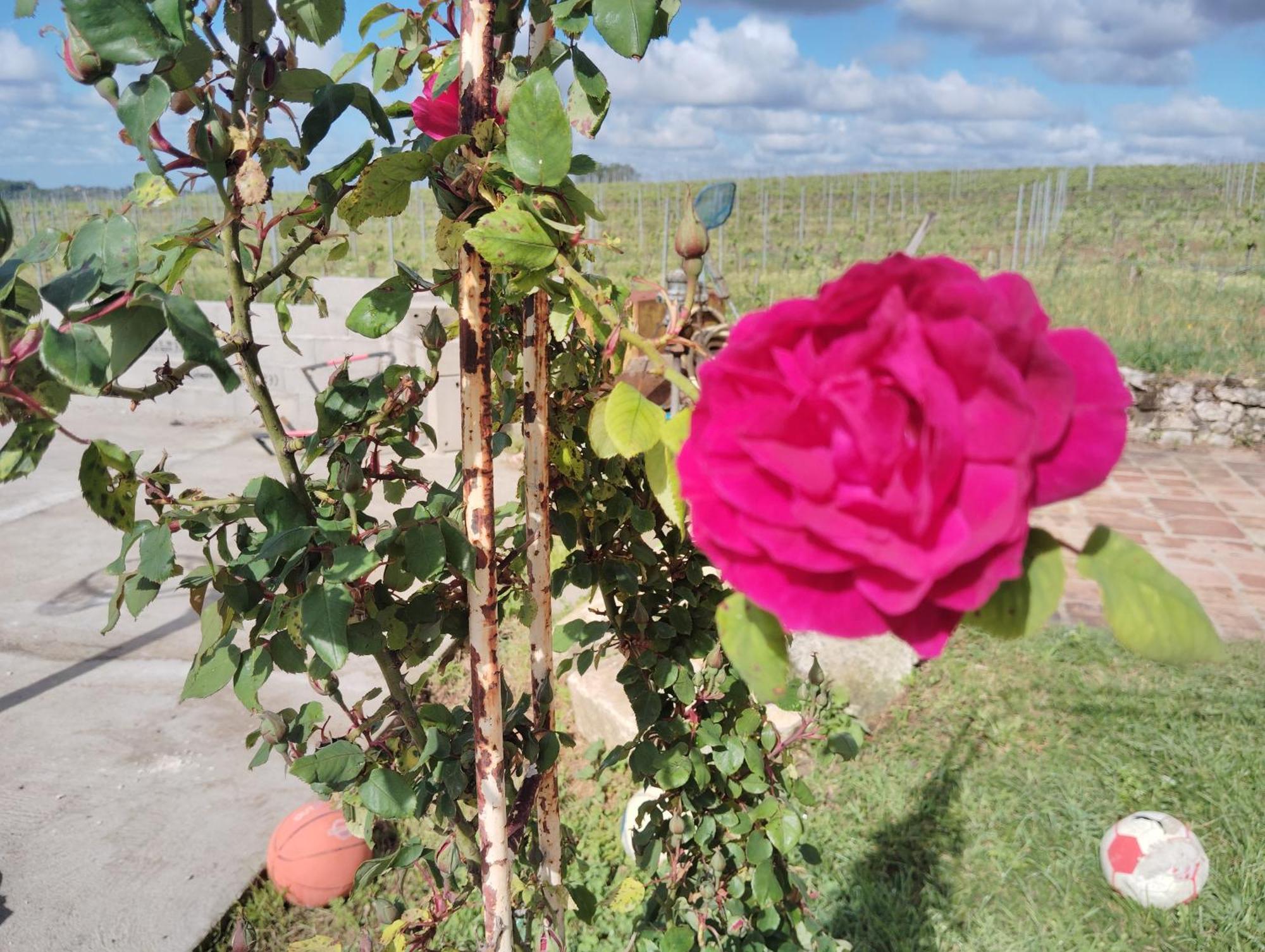 Gite L'Edenwine Doulezon Exterior foto
